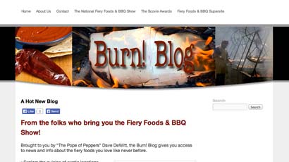Burn! Blog