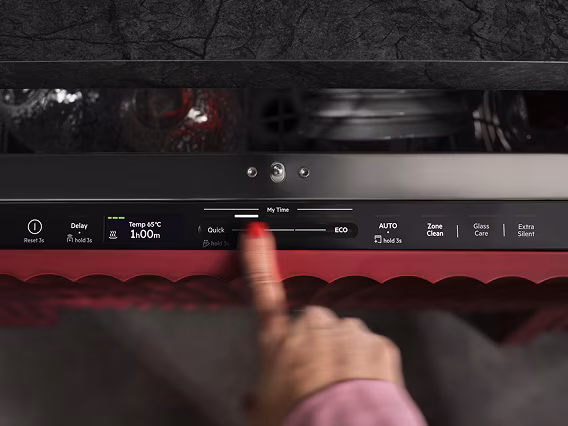 AEG Dishwasher controls