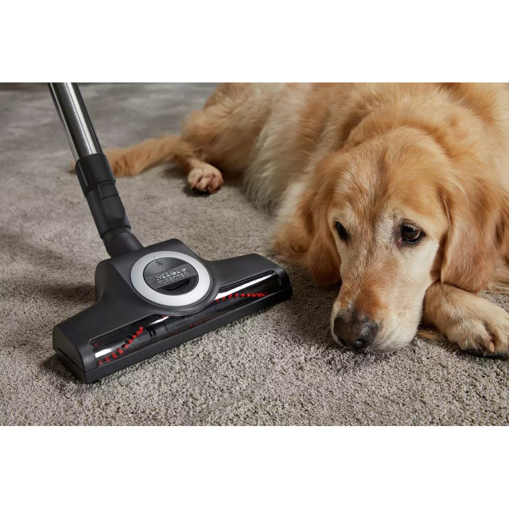 Miele 12137580 Cylinder Vacuum Cleaner COMPACT C2 CAT AND DOG FLEX - Red Miele 12137580 Cylinder Vacuum Cleaner COMPACT C2 CAT AND DOG FLEX - Red