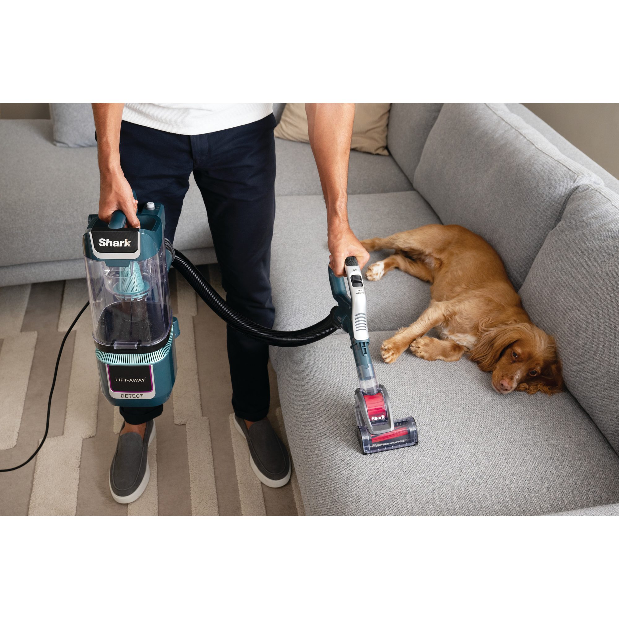 Shark Detect Pet Pro Upright Corded Vacuum LA791UKT - Silver