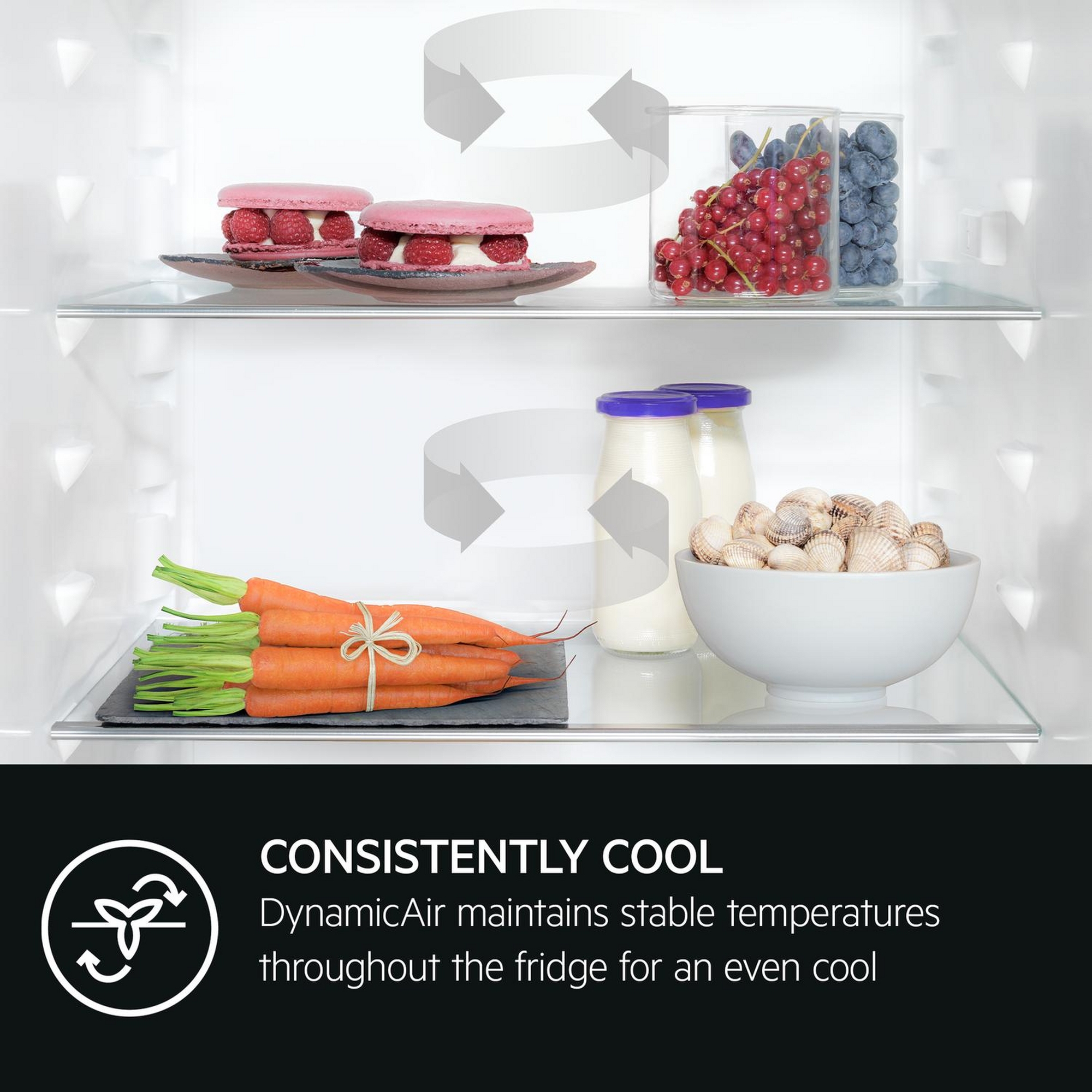 AEG Series 7000 Integrated 50/50 Frost Free Fridge Freezer NSC7T185ES AEG Series 7000 Integrated 50/50 Frost Free Fridge Freezer NSC7T185ES
