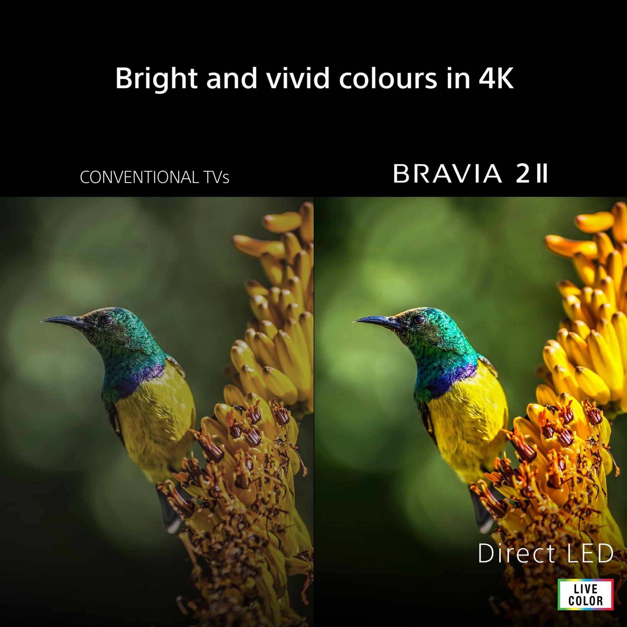 Sony 75” BRAVIA 2 II Direct LED 4K Google TV K75S25M2PB.UKA - Black Sony 75” BRAVIA 2 II Direct LED 4K Google TV K75S25M2PB.UKA - Black