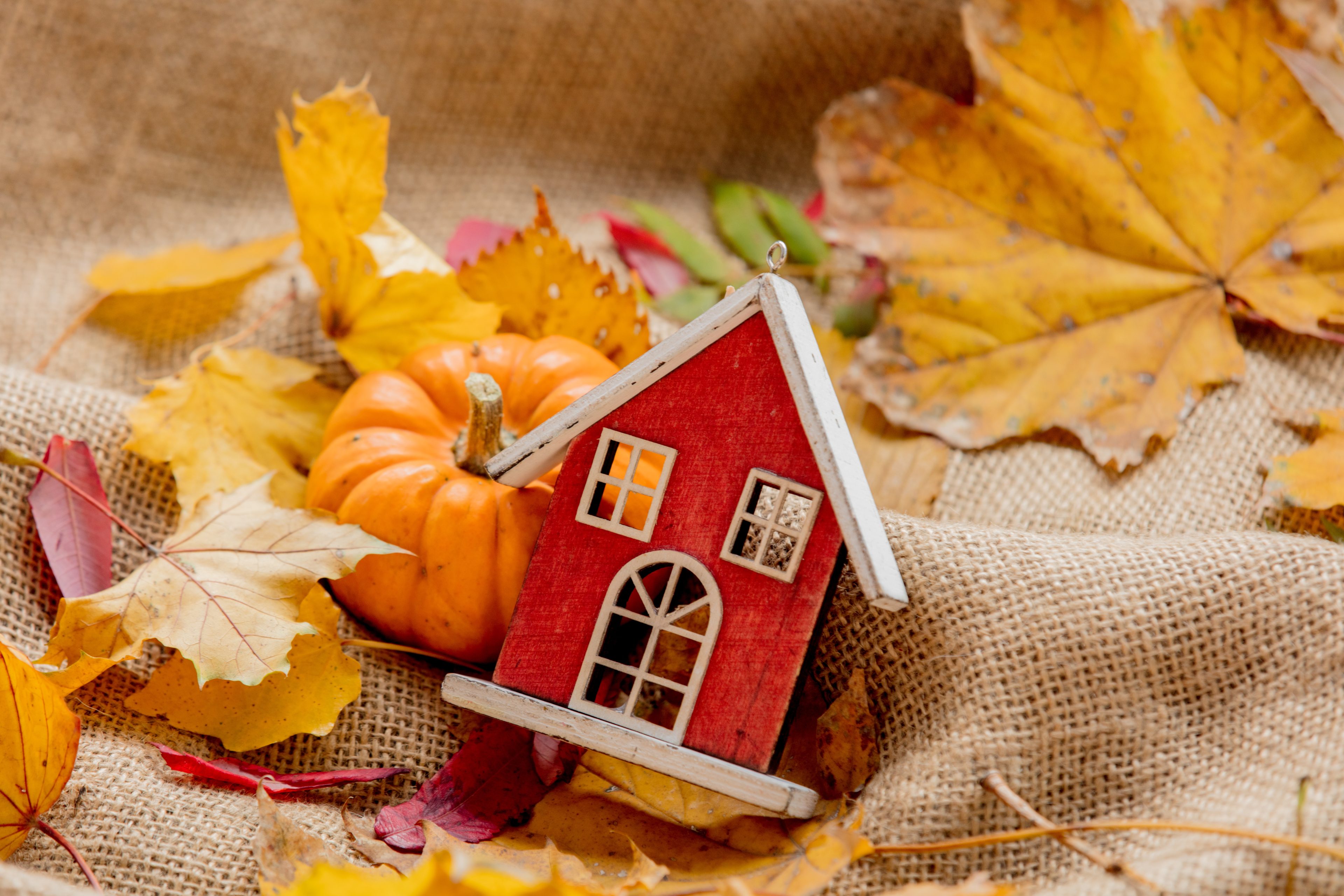Orange pumpkin with wooden house and leaves